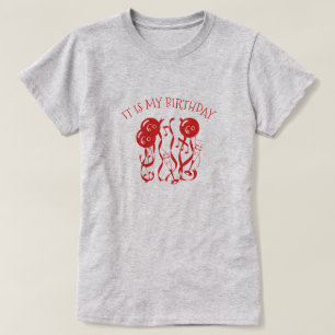 Camiseta É o meu aniversário, tenho 60 anos