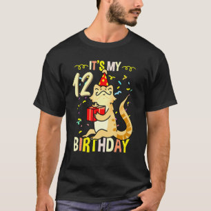 Camiseta É O Meu Dragão De Aniversário De 12