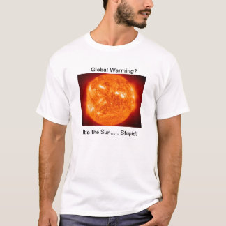 Camiseta É o Sun estúpido!