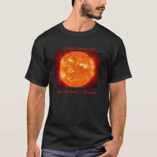 Camiseta É o Sun estúpido!