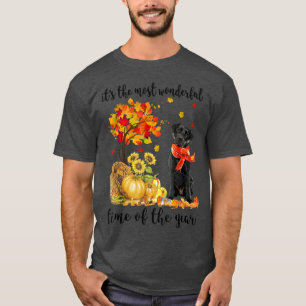 Camiseta É o tempo de outono mais maravilhoso, Labrador Pum