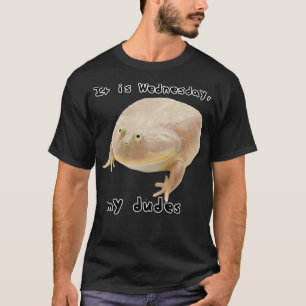 Camiseta É quarta-feira Meu Sapo Clássico Engraçado Memo O