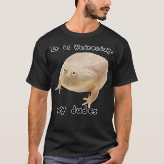 Camiseta É quarta-feira Meu Sapo Clássico Engraçado Memo O