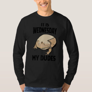 Camiseta É Quarta-Feira Meus Amigos