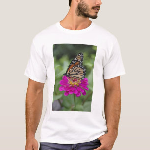 Camiseta E.U.A., Massachusetts, Boylston, Tower Hill