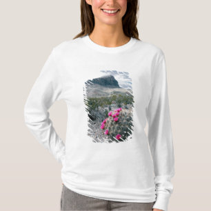 Camiseta E.U.A., Texas, Parque Nacional Big Bend. Florindo