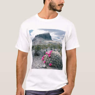 Camiseta E.U.A., Texas, Parque Nacional Big Bend. Florindo