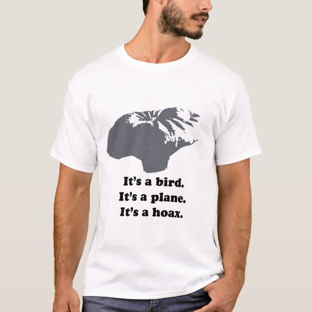Camiseta É um pássaro. É um plano. É um embuste (Frente)