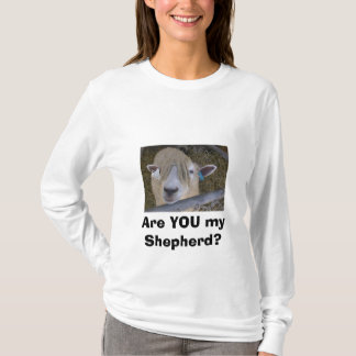 Camiseta É VOCÊ meu pastor?