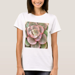 Camiseta Echeveria Cactus - Pintura acrílica suculenta