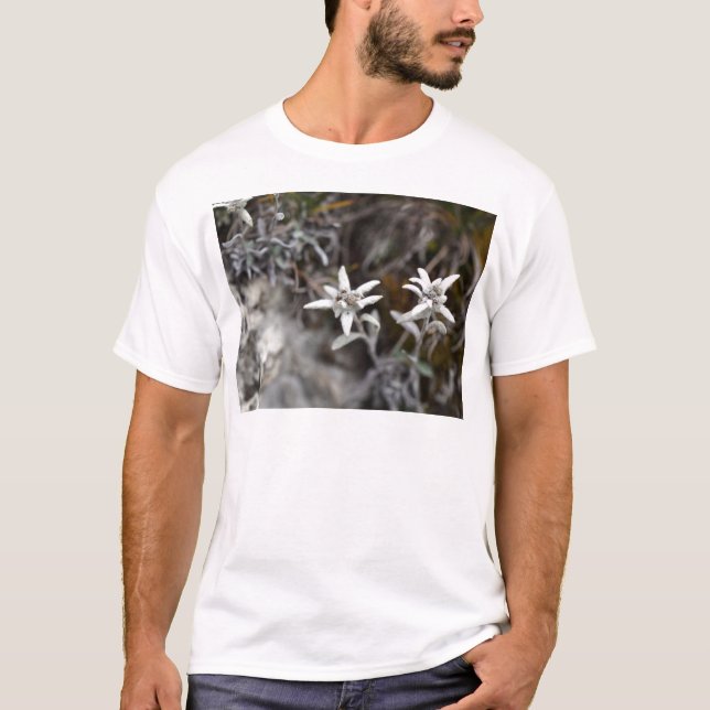 Camiseta Edelweiss alpino (Frente)
