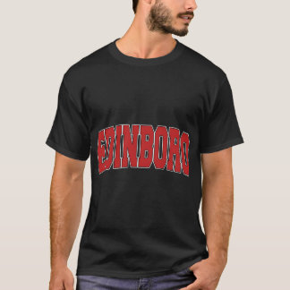 Camiseta Edinboro Pa Pensilvânia Varsity Style Usa Sports
