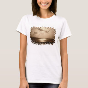 Camiseta Efeito solar - oceano, 1857 (impressão do albume