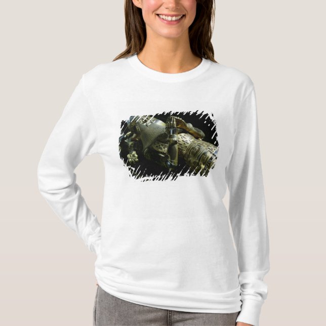 Camiseta Efígie de Edward o príncipe preto, 1376 (Frente)