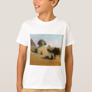 Camiseta egípcio