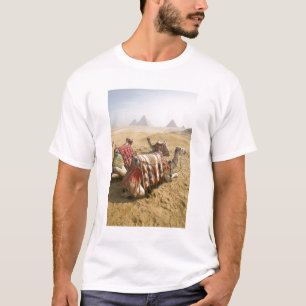 Camiseta Egipto, o Cairo. Olhar de descanso dos camelos