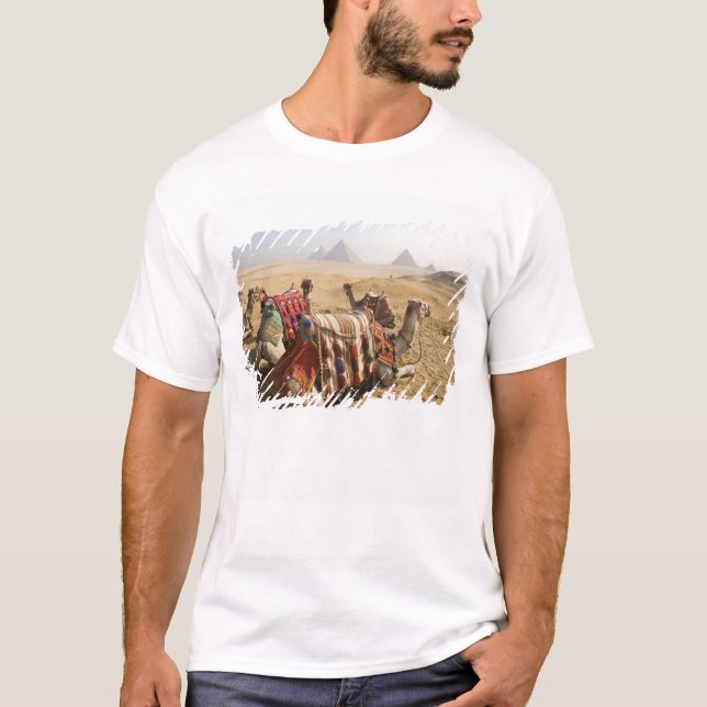 Camiseta Egito, Cairo. Camelos descansando (Frente)