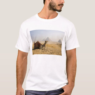 Camiseta Egito, Cairo. Um camelo solitário