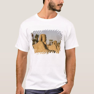 Camiseta Egito, Luxor. A Avenida de Esfinges leva a