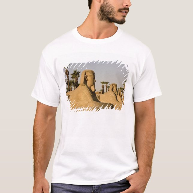 Camiseta Egito, Luxor. A Avenida de Esfinges leva a (Frente)