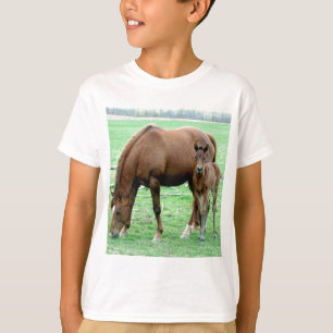 Camiseta Égua da baía e seu potro