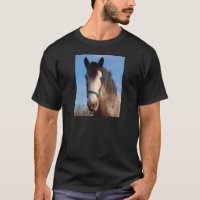 égua do clydesdale