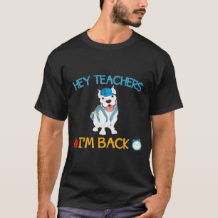 Camiseta Ei, Professor, Estou De Volta, Garotos De Pitbull