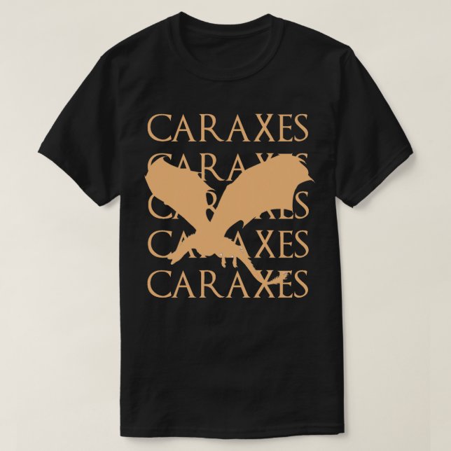 Camiseta eixos 2 (Frente do Design)