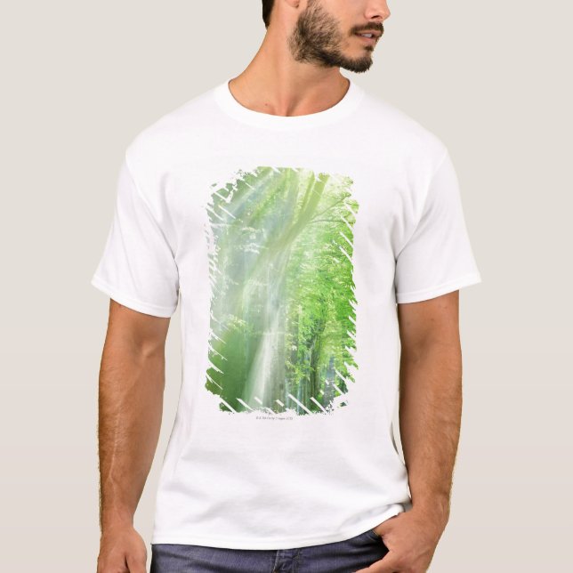 Camiseta Eixos da luz solar (Frente)