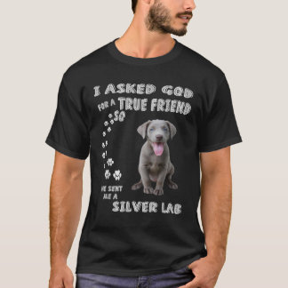 Camiseta Ele Me Enviou Um Laboratório De Prata