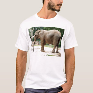 Camiseta Elefante africano