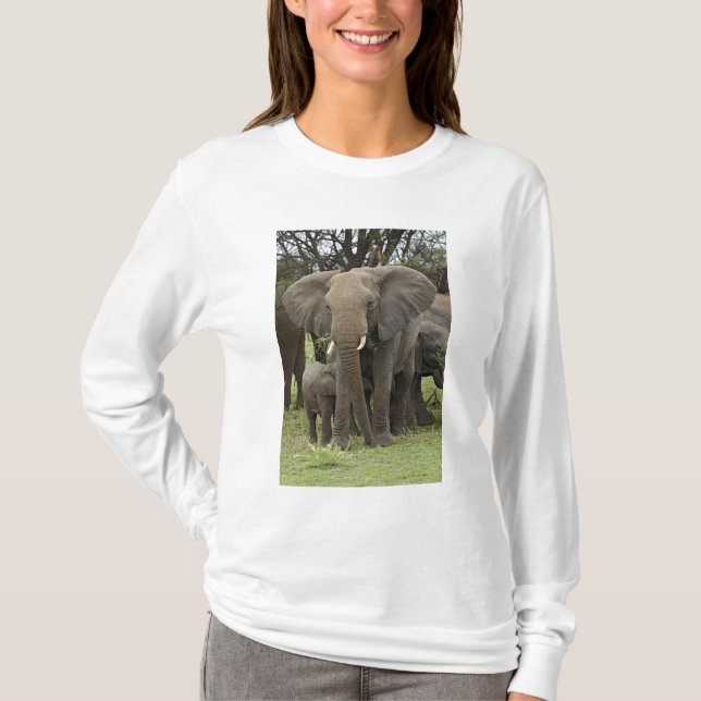 Camiseta Elefante Africano | Herd (Frente)