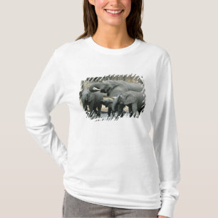 Camiseta Elefante-africano, (Loxodonta africana), bebendo