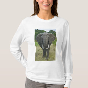 Camiseta Elefante-africano loxodonta, Masai Mara Game