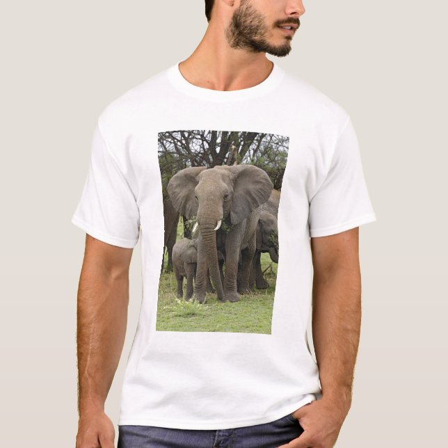 Camiseta Elefante Africano | Manada (Frente)