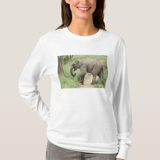 Camiseta Elefante bebê seguindo a mãe, Corbett (Frente)