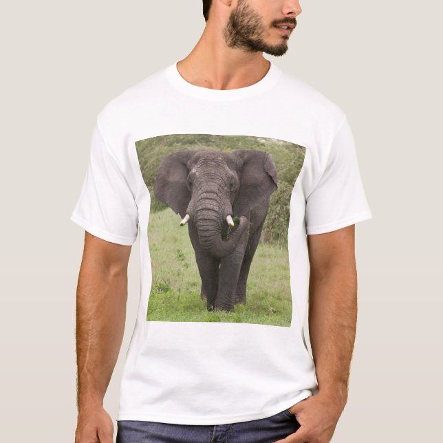 Camiseta Elefante da Tanzânia africana na cratera de Ngoron (Frente)
