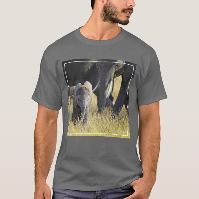 Camiseta Elefante do bebê (Frente)