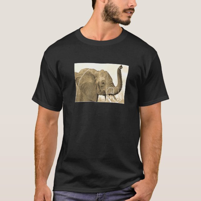 Camiseta Elefante Fibonacci Spiral para Razão do Ouro Matem (Frente)