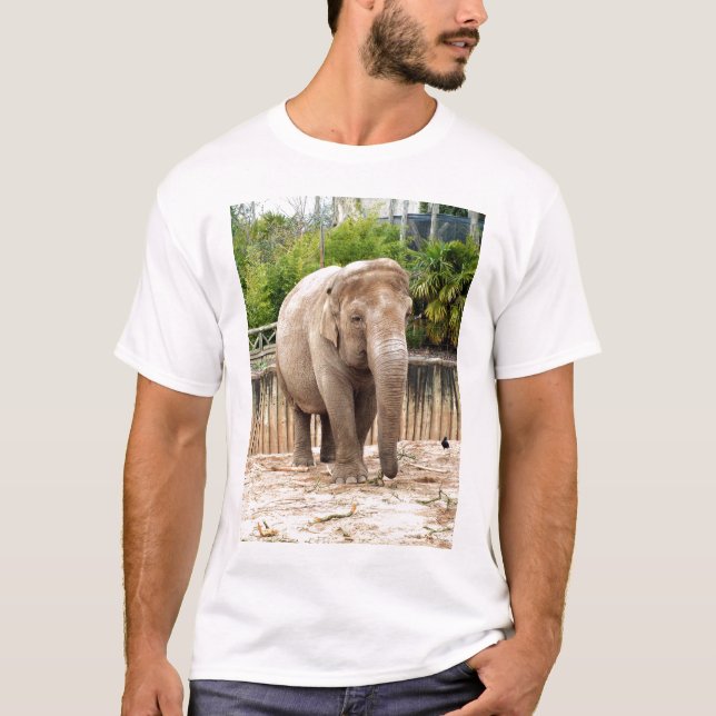 Camiseta elefante indiano (Frente)
