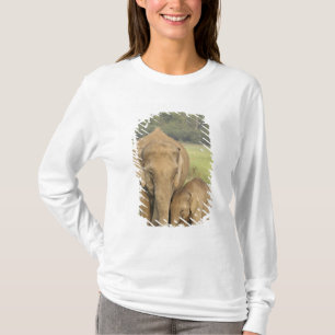 Camiseta Elefante indiano / asiático e filhote, Corbett