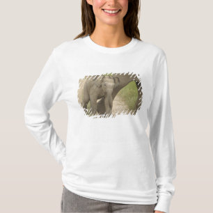 Camiseta Elefante indiano / asiático e filhote, Corbett 2
