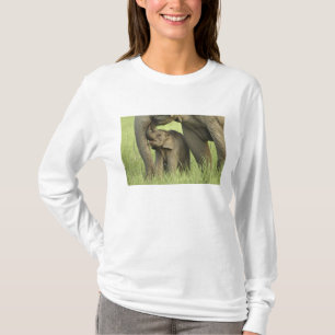 Camiseta Elefante indiano / asiático e filhote, Corbett 2