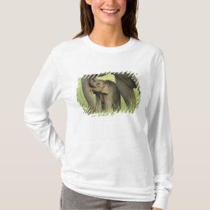Camiseta Elefante indiano / asiático e filhote, Corbett 2