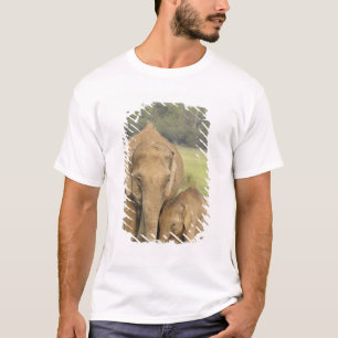 Camiseta Elefante indiano/asiático e jovem,Corbett