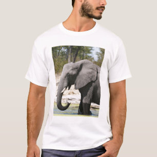 Camiseta Elefante (Loxodonta africana), Canal de Savute