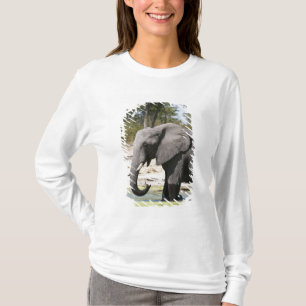 Camiseta Elefante (Loxodonta africana), Canal Savute