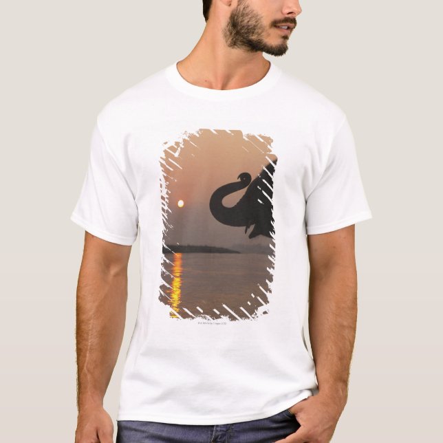 Camiseta Elefante, parque nacional de Chitwan, Nepal (Frente)