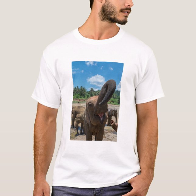 Camiseta Elefante Sri Lanka (Frente)