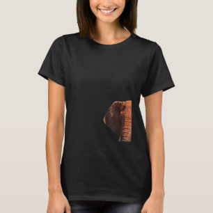 Camiseta Elefante Vermelho no Quênia África